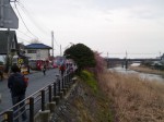 河津桜まつりの写真のサムネイル写真5