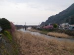 河津桜まつりの写真のサムネイル写真6