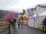 河津桜まつりの写真のサムネイル写真8