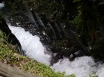 出合滝の写真のサムネイル写真6