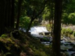 水と緑の杜公園の写真のサムネイル写真14