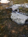 水と緑の杜公園の写真のサムネイル写真31