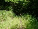 水山沢の滝、いぼ地蔵の写真のサムネイル写真7