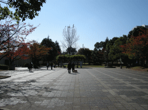 東綾瀬公園（東側）の写真