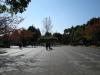 東綾瀬公園（東側）の写真のサムネイル写真10