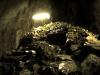 日原鍾乳洞の写真のサムネイル写真11