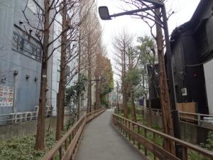 歌舞伎町の写真11