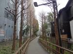 歌舞伎町の写真のサムネイル写真11