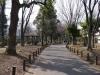 戸山公園（大久保地区）の写真のサムネイル写真4