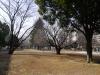 戸山公園（大久保地区）の写真のサムネイル写真10