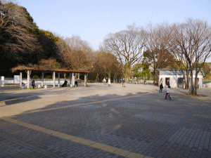 戸山公園（箱根山地区）の写真