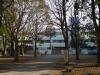戸山公園（箱根山地区）の写真のサムネイル写真4