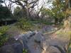 戸山公園（箱根山地区）の写真のサムネイル写真24