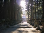 河口浅間神社の写真のサムネイル写真2