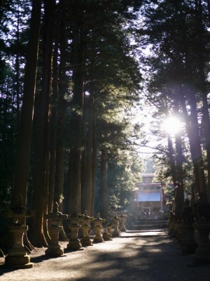 河口浅間神社の写真13