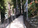 身延山久遠寺の写真のサムネイル写真25