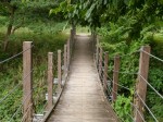 オオムラサキ自然公園の写真のサムネイル写真5